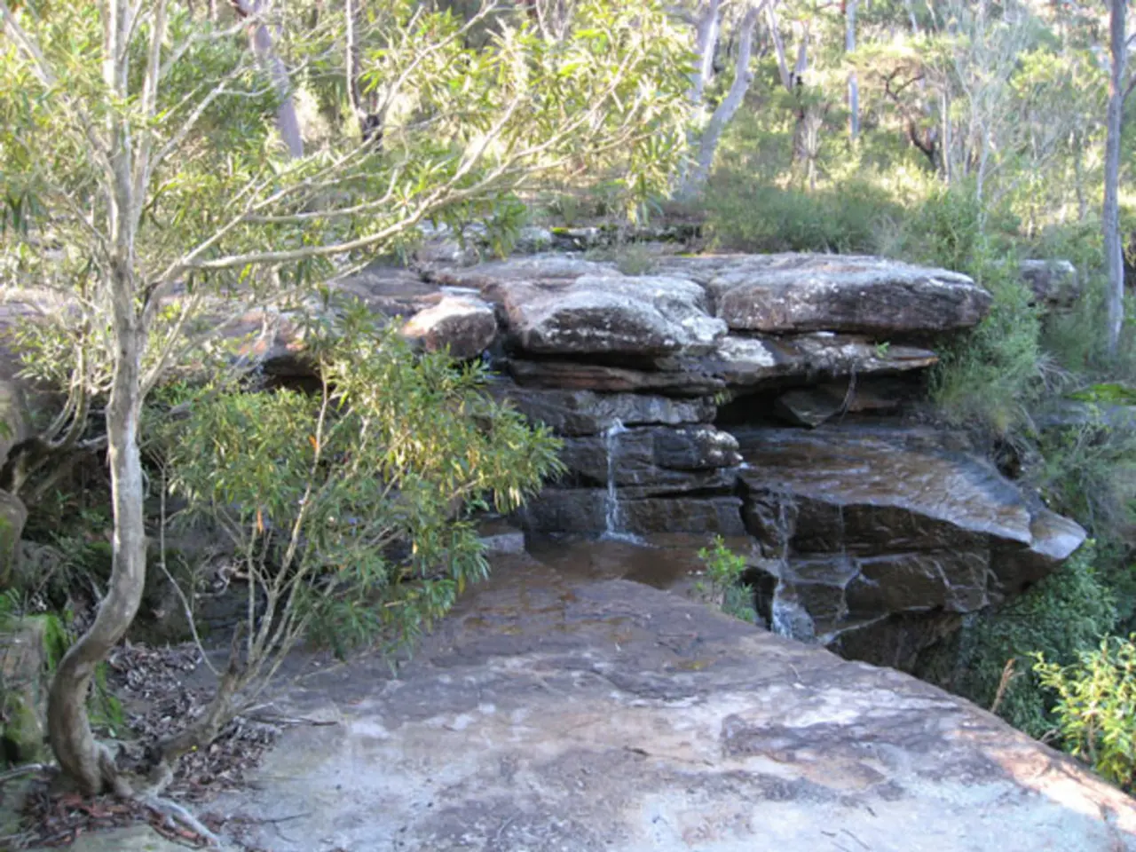 Top 7 Autumn Hues Transforming Your Outdoor Scenery