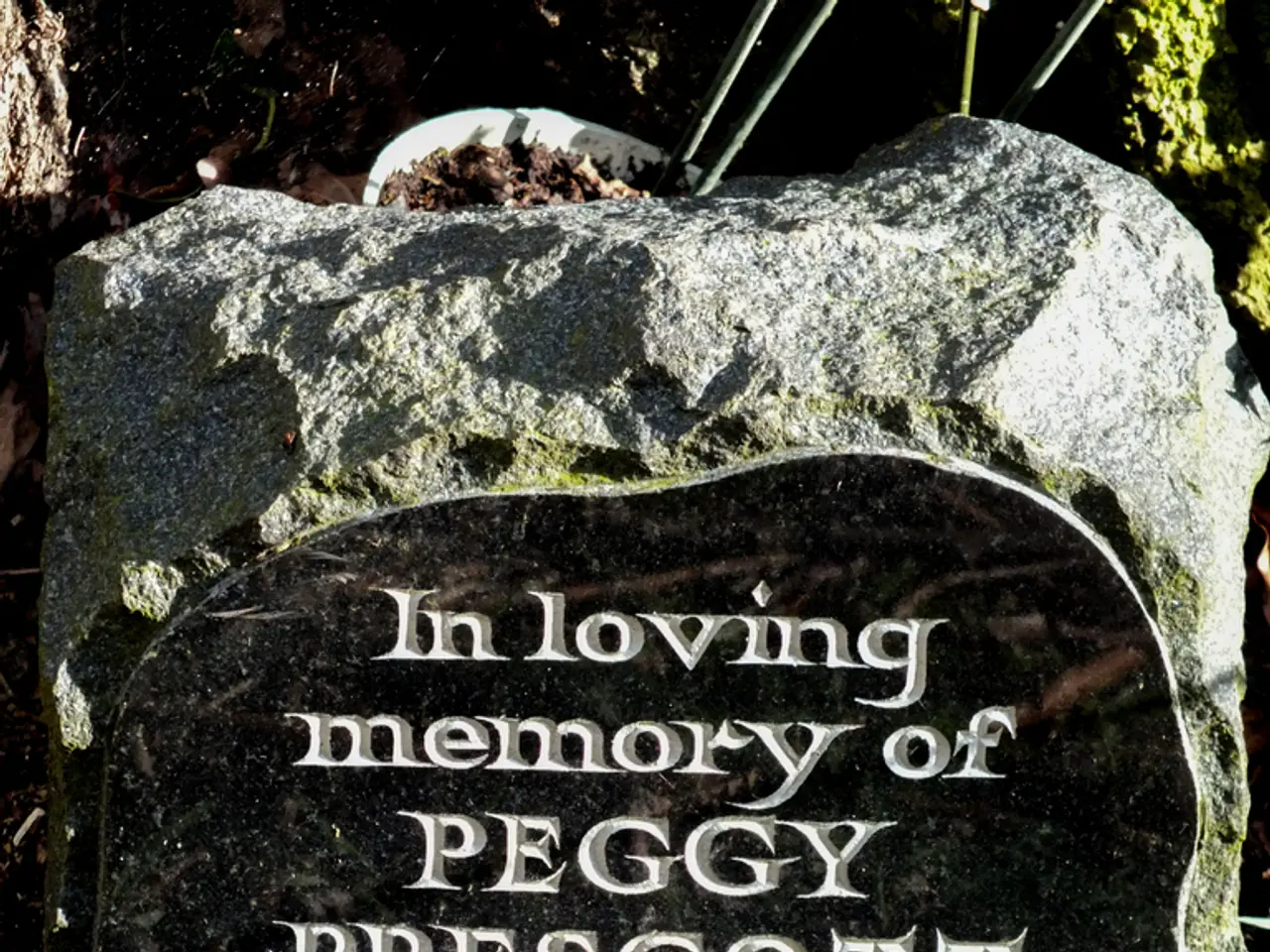 Optimal Soil Conditions for Basil Growth: Discover the Ideal Ground for Thriving Basil Plants