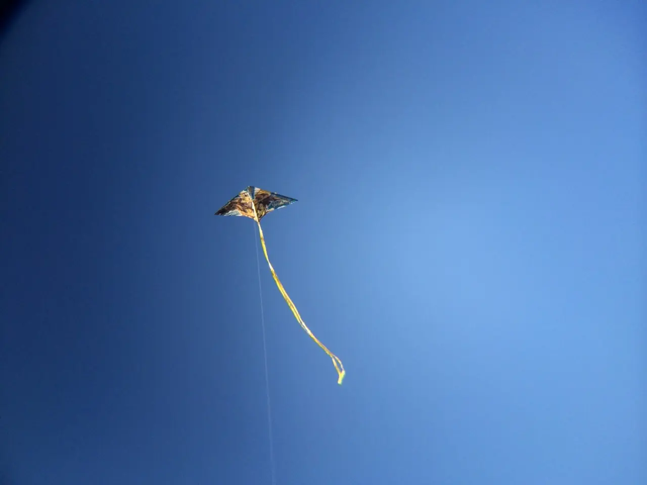 Vibrant Heavenly Beasts against a Backdrop of Azure: Vivid Kite Exhibition in Dahme