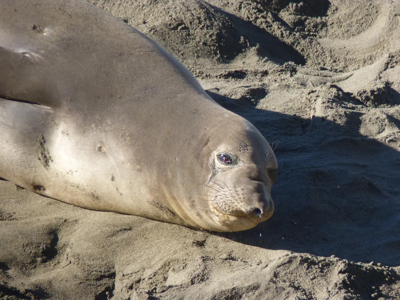 Driveway Care and Upkeep Strategies