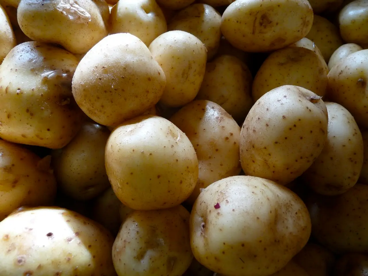"A Step-by-Step Guide to Cultivating Potatoes"