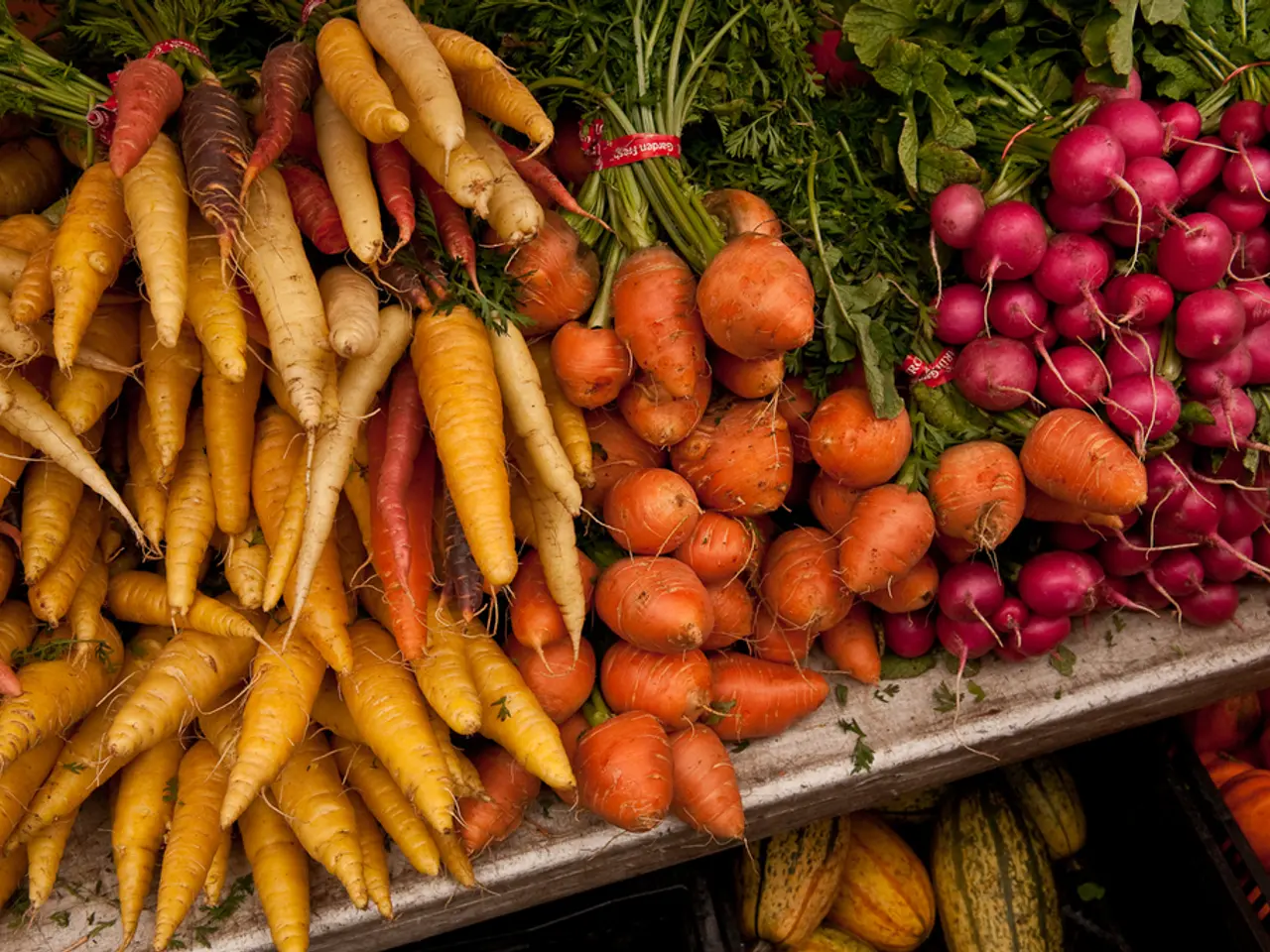 Tips for Nurturing a Successful Vegetable Garden