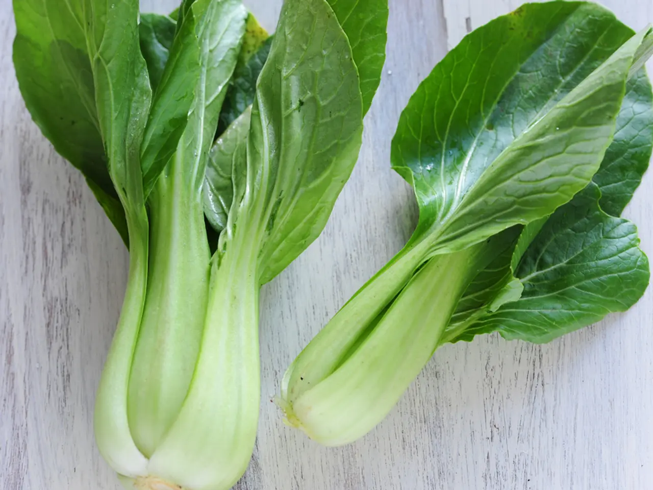 Strategies for Cultivating Early Spring Vegetables