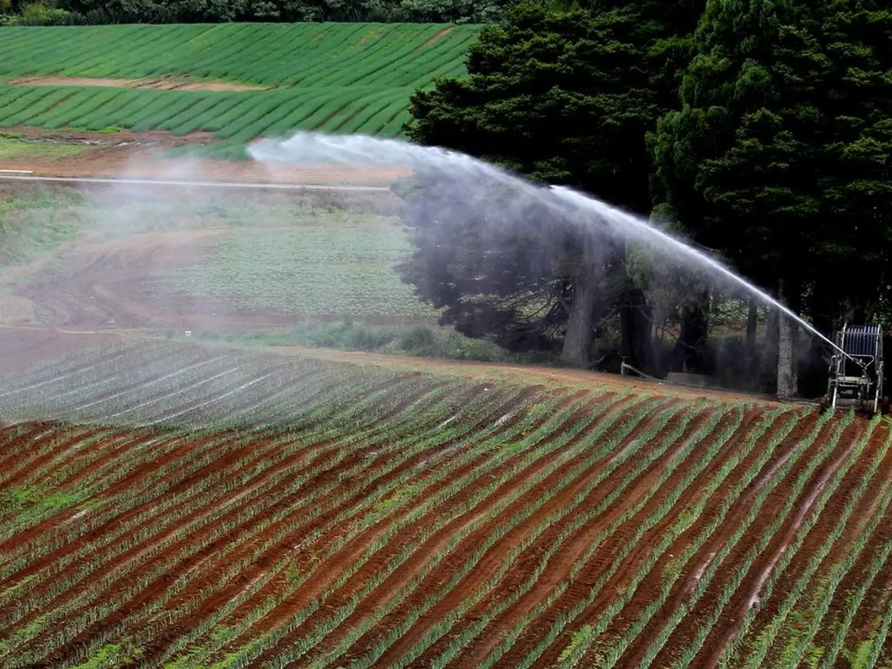 Benefits of Home Garden Irrigation Systems that are Smart