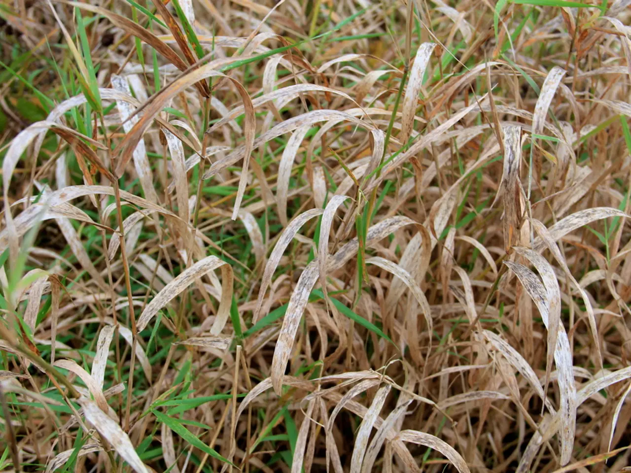 Strategies for Maintaining Vegetation During Vacation