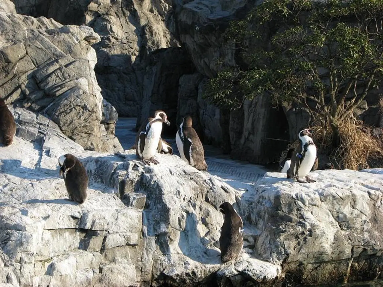Climate Change's Devastating Impacts: Exploring the Perilous State of Our Planet and Its...