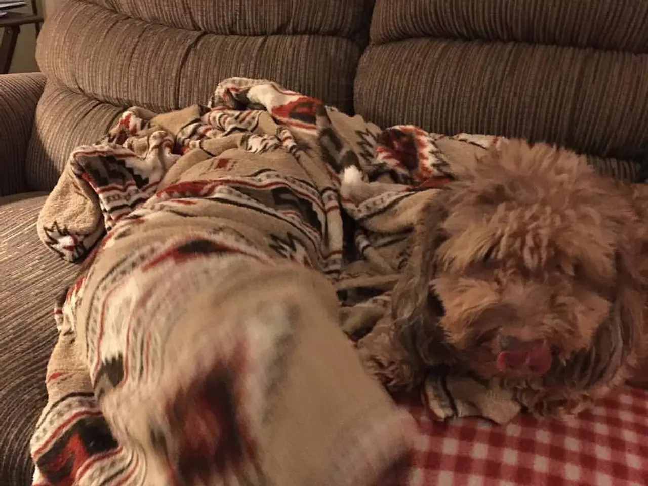 Stylish Next sofa bed found at an affordable price below £500, sparking purchases from smart buyers