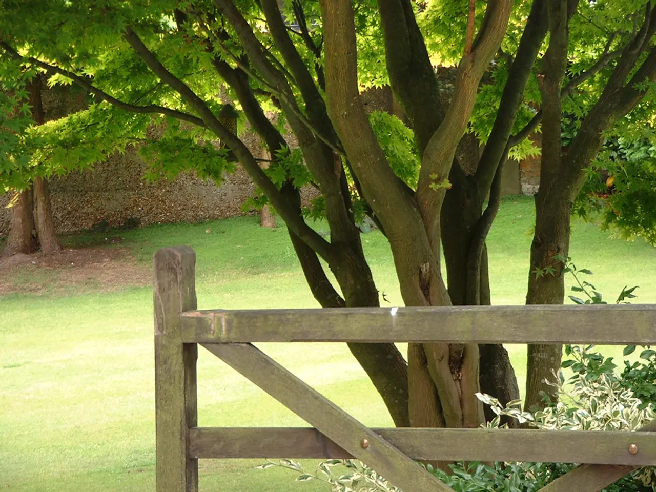 Film set duties of a greensman include designing, constructing, and maintaining natural-looking...