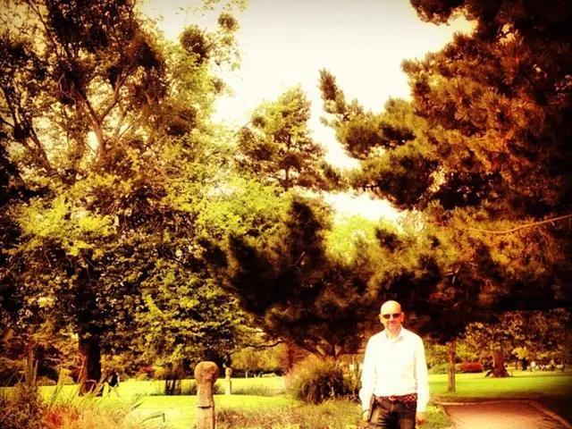 Scientists in Spain declare successful treatment for baldness