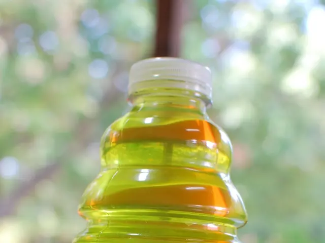 Fructose Processing: Energy and Wellness Implications