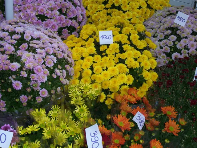 Flea Market Focusing on Plants Encourages Sustainable Sharing of Greenery