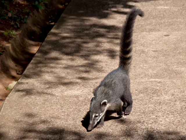 Understanding ARG Deficiency: An Overview