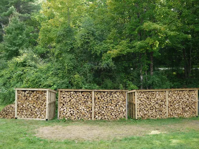 Pruning dogwoods isn't an annual necessity; here's a guide from our experts on when and how to...