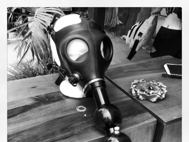 "Unbeknownst to us, the woods conceal hidden gems in plant life!"