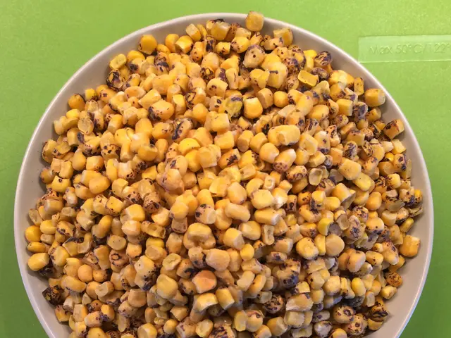 Seed Preservation Durations for Vegetables