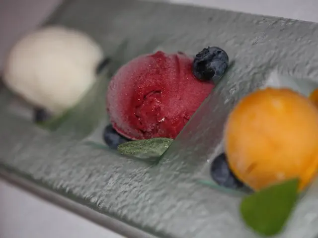 Top 7 Notable Botanical Gardens Across the United States