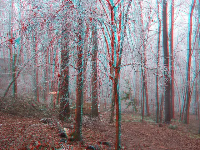 Growing Container Plants for Four Seasons? Discover the Top 6 Choices for Year-Round Pot...