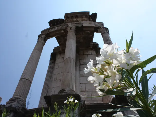 Giant Hostas to Cultivate: 6 Impressive Plantain Lily Monsters