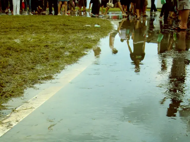 Essential Summer Lawn Care Guidelines: Advice Endorsed by Professionals for Homeowners