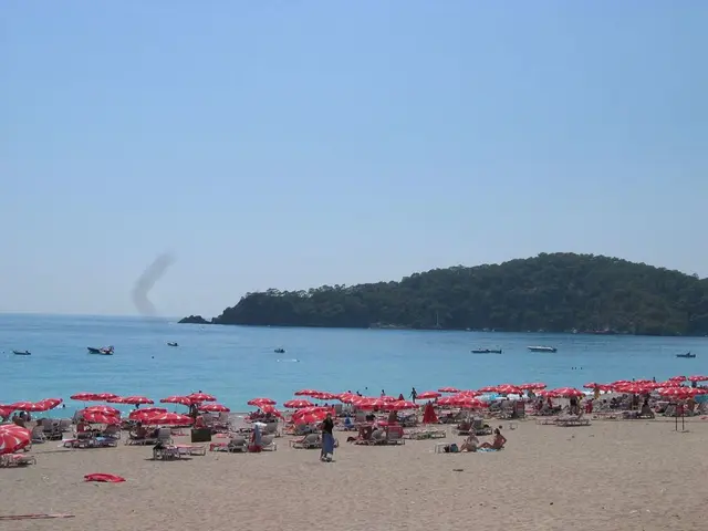 Exploring Aquatic Life: Immersion in Pond Water at Holywells