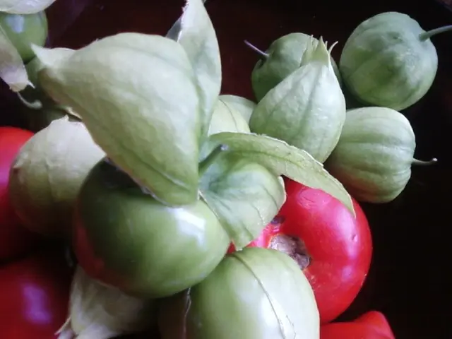 Space-efficient vegetable cultivars to cultivate for reduced farming footprint