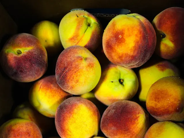 September Abundance of Fruits and Vegetables with Monty's Guidance