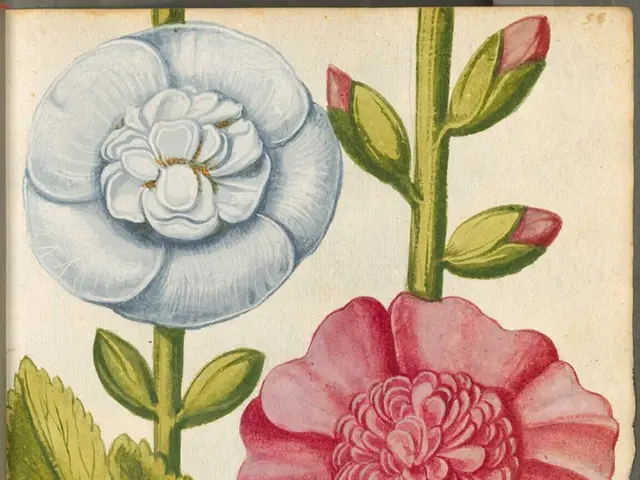 Reliable Enhancements: Trustworthy Farrow & Ball Coating for Your Needs