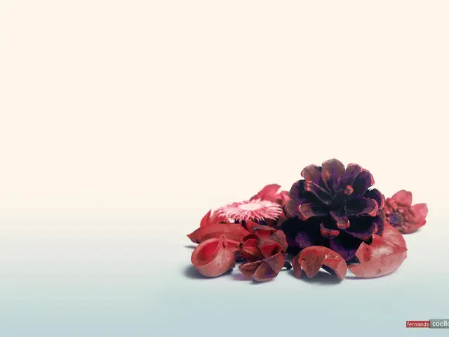 Enhancing Chromaticity on Leeds' Roadways