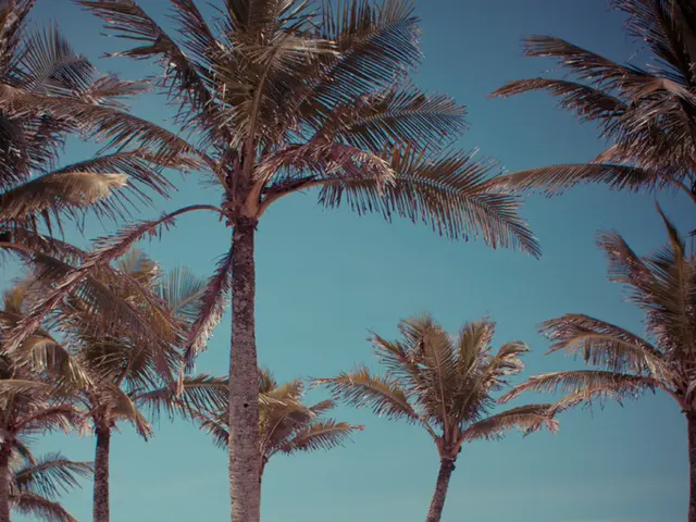 The ruler engages in picking up litter on the seashore