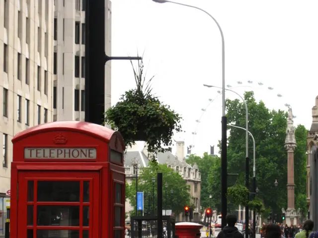 Exploratory Walks Through Nature with a Tour Guide