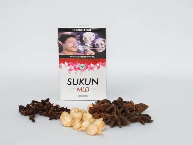 Top Winter-Growing Herbs You Should Consider Cultivating