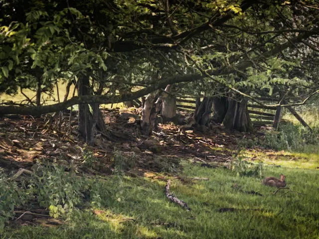 Proposal for a harmonized food labeling law across Member States requested by Commission