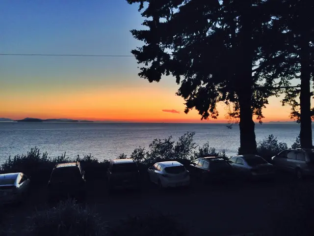 Cultivating a Greenhouse Garden: A Step-by-Step Guide for Amateurs