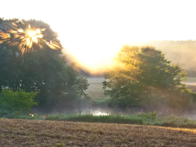 Restoring Ecological Balance: Revitalizing Damaged Terrain for Abundant Flora and Fauna