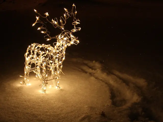 As the fox and hare bid each other goodnight, an evening excursion unfolds at twilight