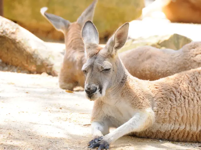 Illuminated Night of Glowing Insects in Cúc Phương