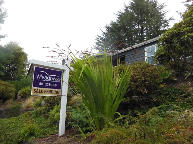 Pine-lined and dotted with Posidonia, Sainte-Marguerite