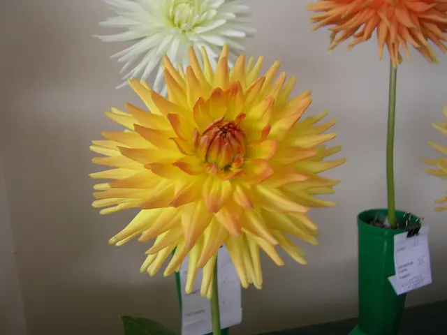 Enhance your summer blooms with ease! This convenient fertilizer shaker is the perfect addition to...