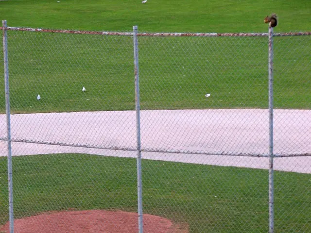 Damaging garden due to ground squirrels? Pest management professionals advocate a single trick to...