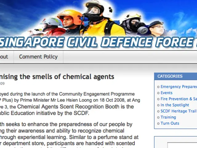 Optimizing Digital Identity: Harnessing the Impact of Data Analysis