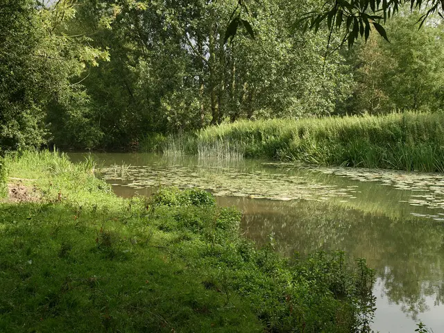 Landscaping Water Recycling Regulations and Guidelines in Minnesota