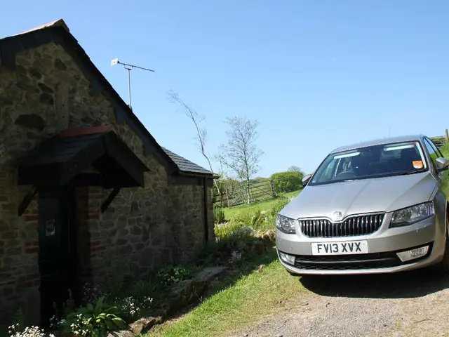 Struggle for Solar Energy Dominance in the Homeland of Freedom