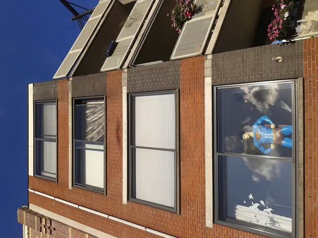 Top Indoor Flora for Enhancing Air Purity