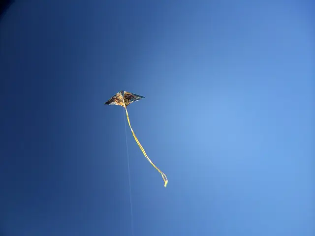 Vibrant Heavenly Beasts against a Backdrop of Azure: Vivid Kite Exhibition in Dahme