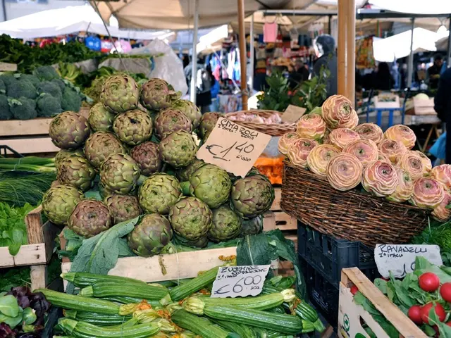 Strategies for Making Your Camping Area Eco-Friendly