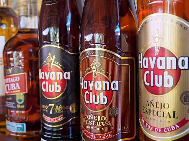 Delving into the Insights of healthsciencesforum.com: An In-depth Look at Health Science Knowledge