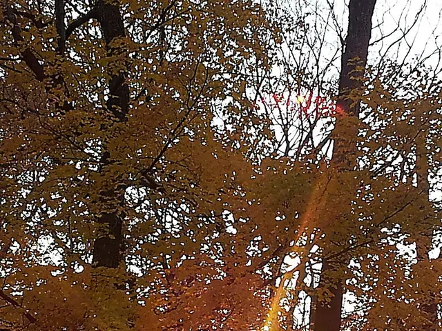 Strawberry Moon Marks Closing of Week from 6-15-25