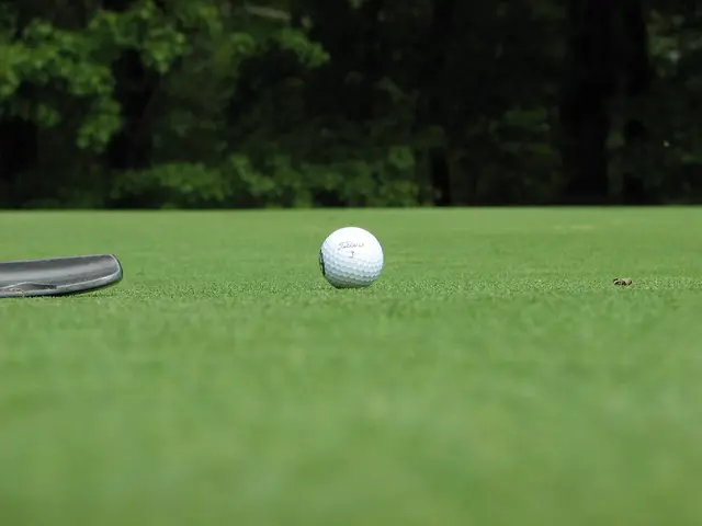 Enigmatic White Spheres Spotted in Plant Soil: Understanding Their Nature