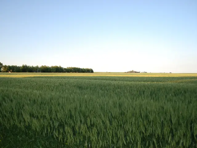 City Talk in Dublin: Sharing Thoughts on Sustainable Development and Progress