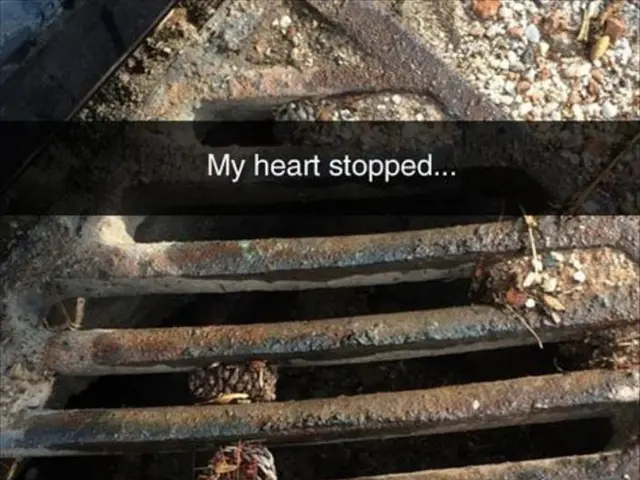 Heart Failure Congenital: Evaluating Inheritance and Prevention Strategies